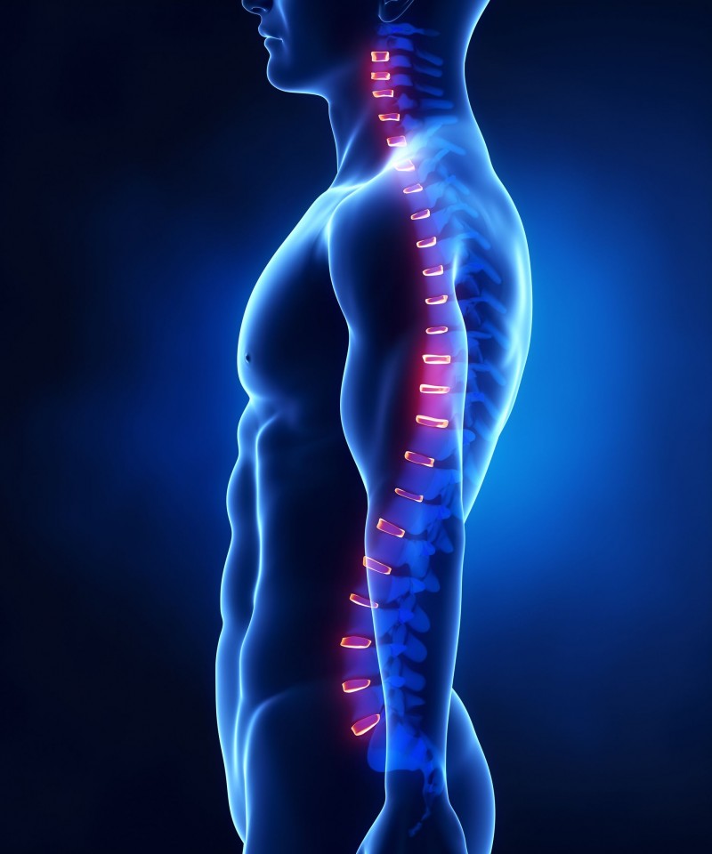 top-tips-for-preventing-spinal-injuries-asterisk-health