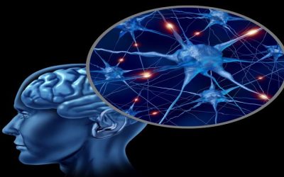 Improve Memory and Mental Clarity Through Cognitive Training, San Francisco, CA