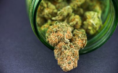 Choosing Apples and Bananas Strain Products Safely in the USA